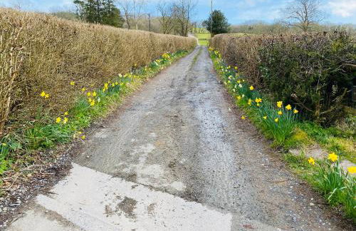 Oakies Farm Stays - Foto 28