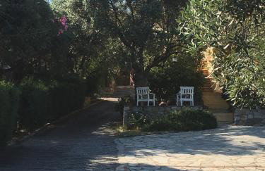 The Yellow Houses - Photo 16