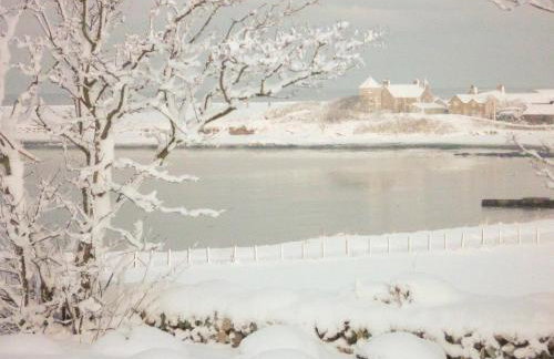 Y Stabal - Uk37403 - Foto 7