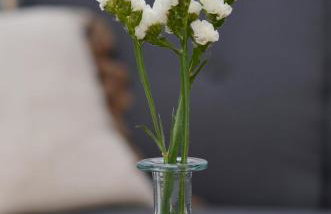 Apartamentos A CASA DO REMO - Foto 25