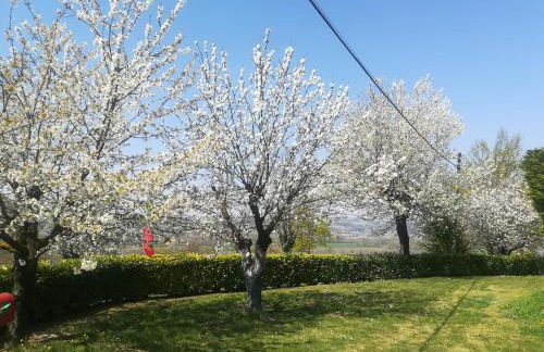Locazione turistica Cascina Pela - Foto 9