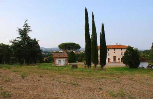 Opera d'Oro - Foto 6