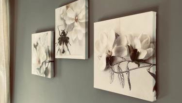 Tenuta Re Ferdinando - Foto 4