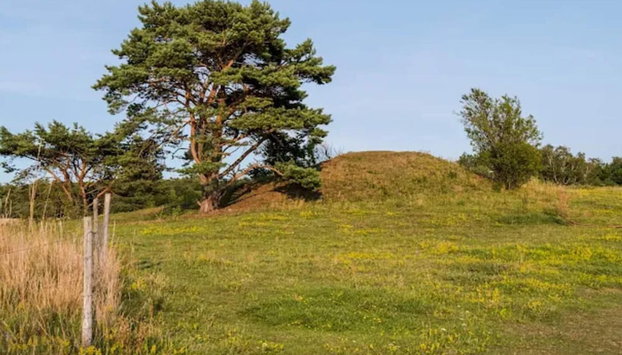 8 Person Holiday Home in Melby - Foto 4, Diversos