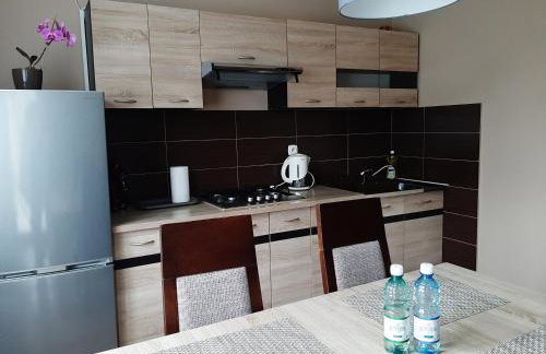 Apartamenty ,,Trzy Sosny'' Rymanów-Zdrój - Foto 10