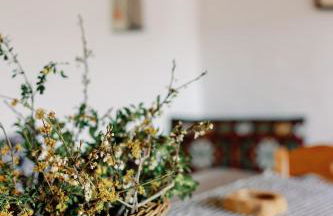 Archontiko Rapti Stone Traditional House - Foto 61