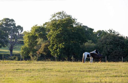 Kingsley Lake View - Foto 47