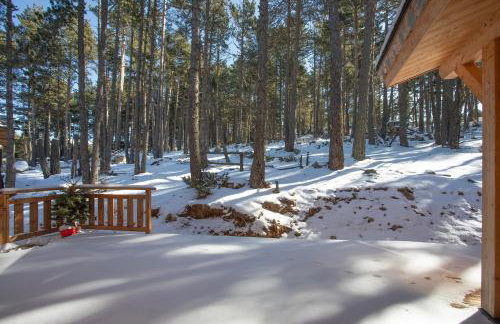 Les Flocons Dorés - Chalet sur le chemin des pistes - Foto 16