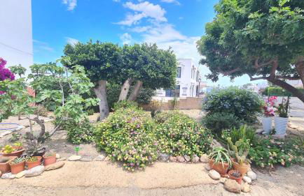 Vacaciones de ensueño - Foto 24