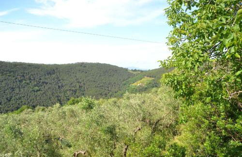 Il Rustico Vicopisano - Foto 33