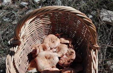 Villa Rural Campillo de Arenas - Foto 53