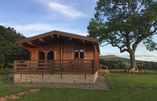 RedWood Lodge - Photo 8