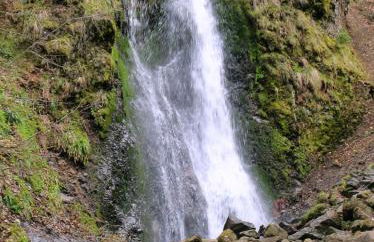 le monne (dit la fermette ) - Foto 11