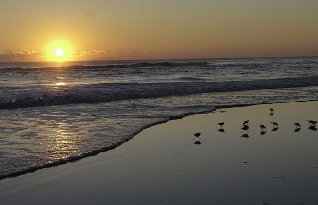 Club Sea Oats - Foto 43