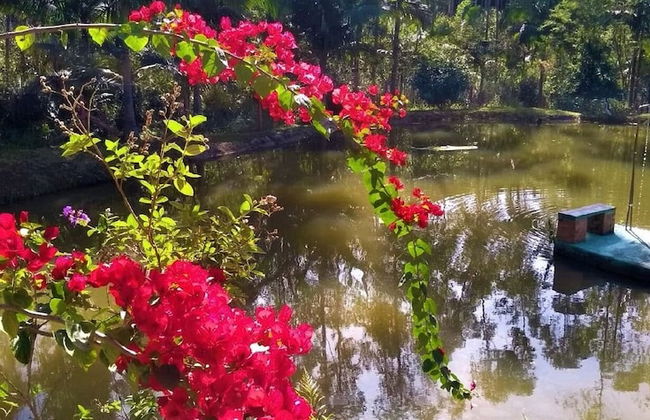 Sitio Libardo - Nova Trento - SC - Foto 68