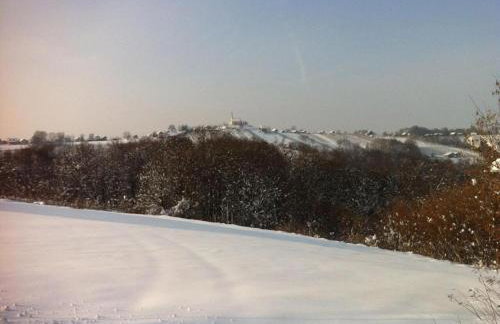 Holiday Home Vitis - Foto 41