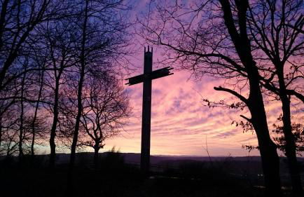 Stadt und Wald - Photo 16