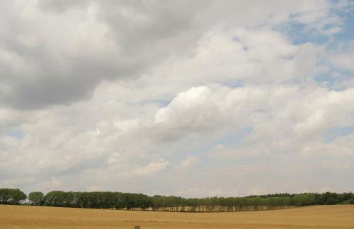 Cozy Retreat in Ballenstedt - Foto 18