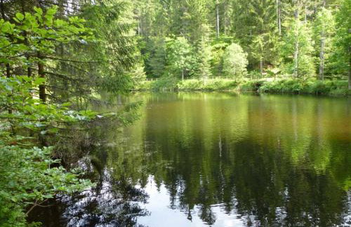 LE QUARTZ DES HAUTES-VOSGES - Foto 24