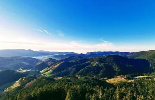 Traumhafte Maisonette-Wohnung im Schwarzwald - Foto 41