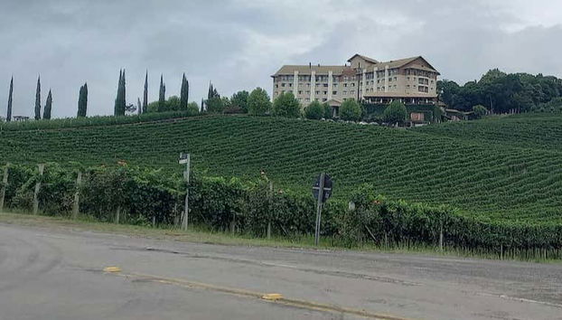 Viñedos de Bento Gonçalves