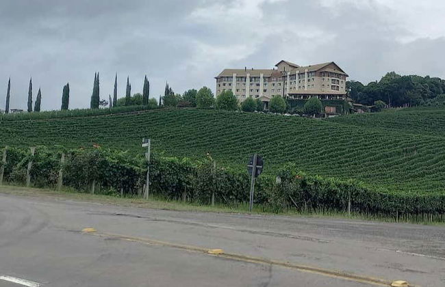 Excursión al Vale dos Vinhedos - Foto 5