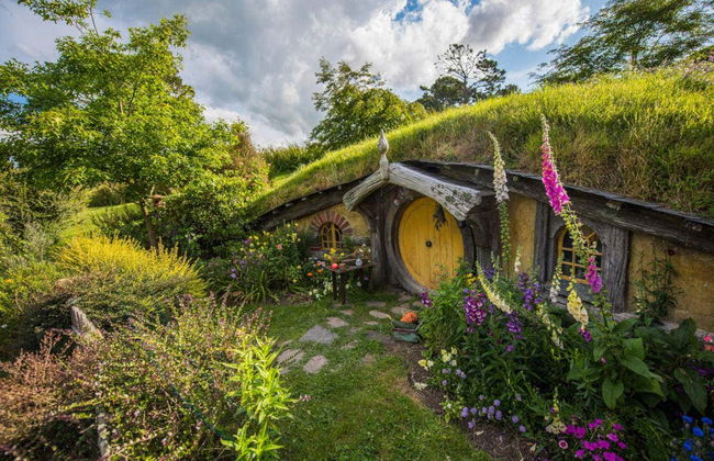 Escursione ad Hobbiton - Foto 1