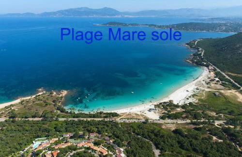 Vue mer panoramique plage 50m Porticcio Corse - Foto 34