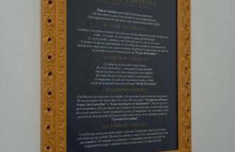 La Luce di Carolina - Palazzo Carolina - Foto 3