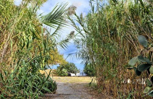 Case sulla spiaggia di Santa Marina Salina - Foto 22