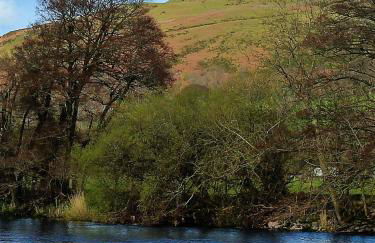 Poplar Lodge, Dee Valley Stays - cosy microlodge with detached private shower & WC - Photo 34