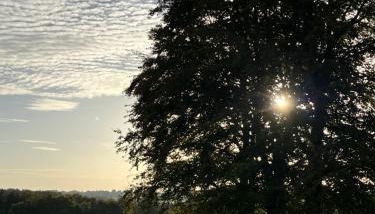 Ferienwohnung Buchenblick - Foto 3, Garden view
