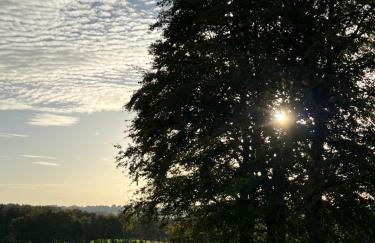 Ferienwohnung Buchenblick - Foto 3
