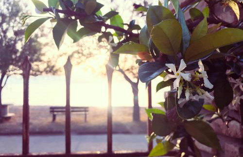 Seaside House - Foto 34