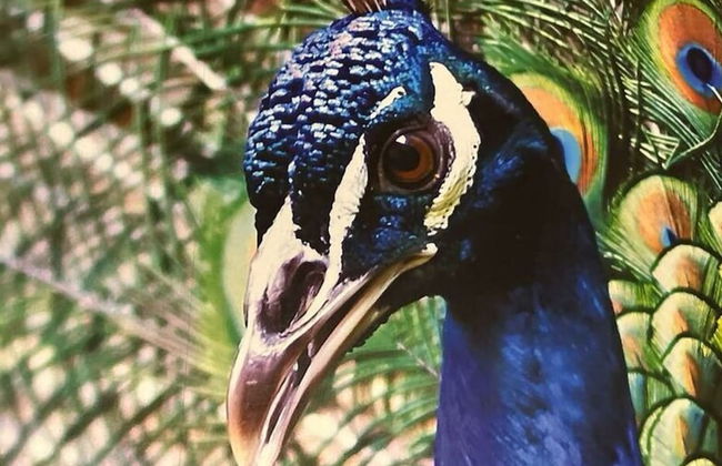 Family Apartment at Pfaffenteich - Foto 14