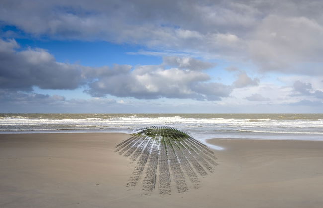 Sea Me If You Can - Foto 21