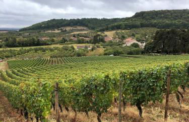 Gîte des Vignes à Viéville-sous-les-Côtes Escapade nature et patrimoine Meuse - Foto 27