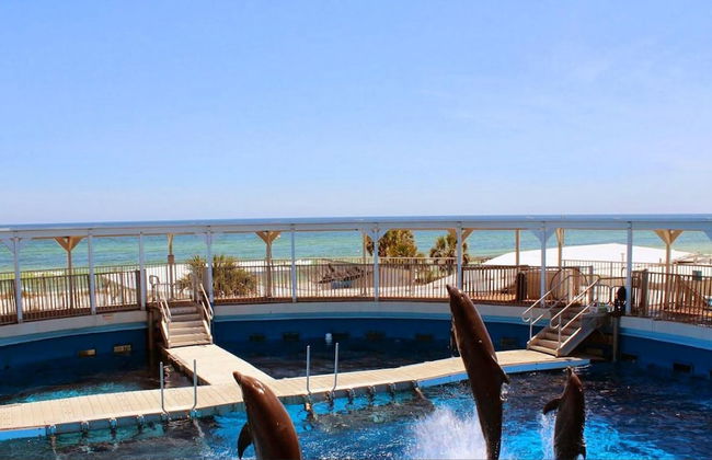 Destin West Bayside Sandpiper L07 - Foto 28