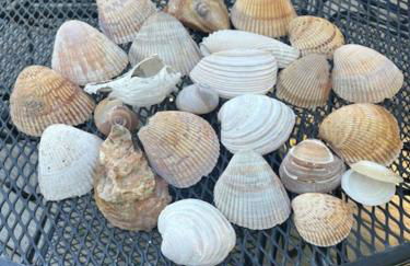 Playing Hookie LLC - Foto 39