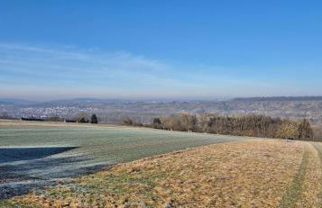 Neckartalblick - Photo 15