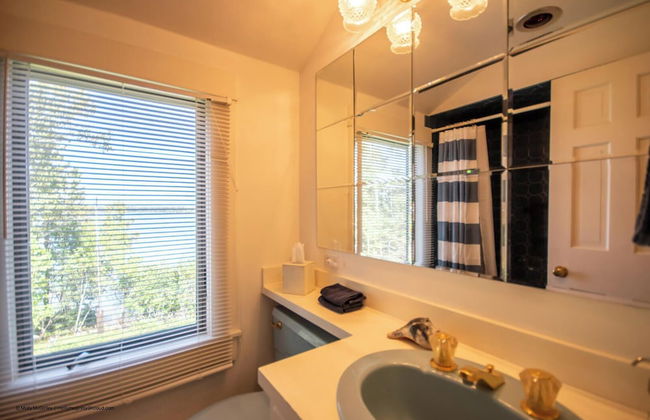 Puffin Rock - New 2022! - Photo 15