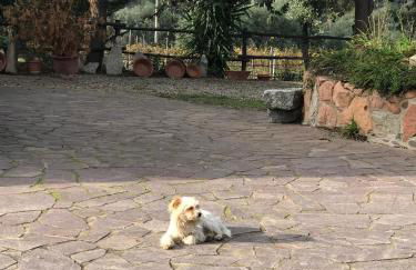 Agriturismo Su Barraccu - Foto 46