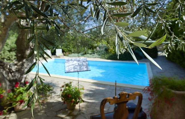 Vederi Estate - Photo 29