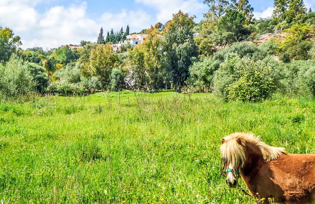 Pendle heights - Foto 18