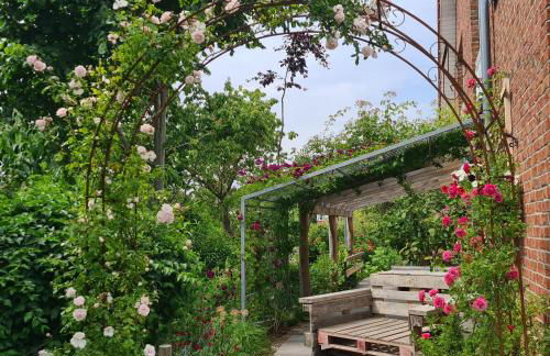 Haus Rosengarten- Ruhige Ferienwohnungen im Grünen - Foto 60