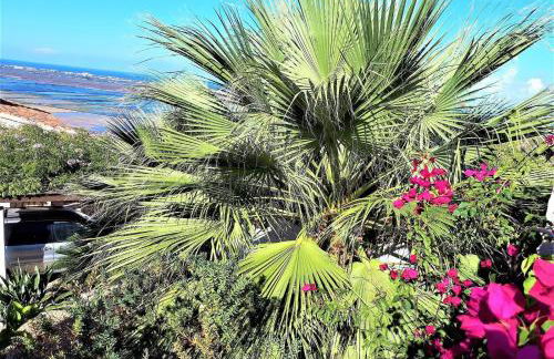 Villa del Mar - Foto 29