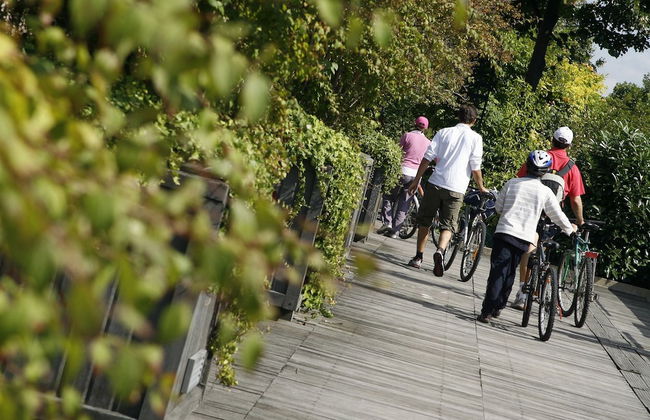 Golden Lakes Village - Foto 42