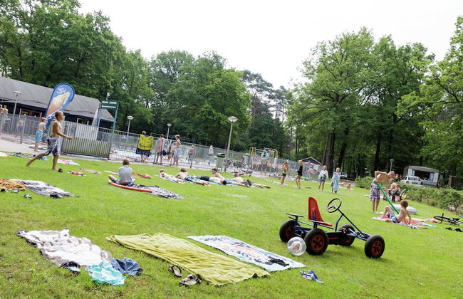 Charming Lodge in Staphorst With Pool Access - Foto 41