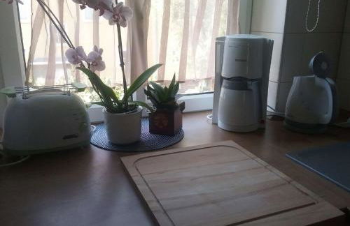 Kleine gemütliche Wohnung In Erfurt - Foto 6