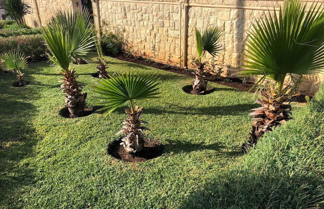 Villa Kamil - Foto 16